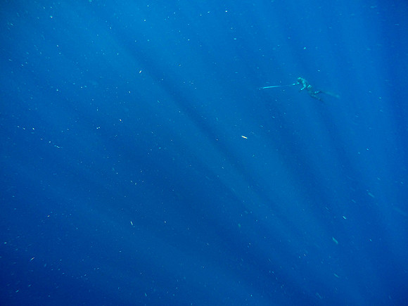 100 miles off Long Island