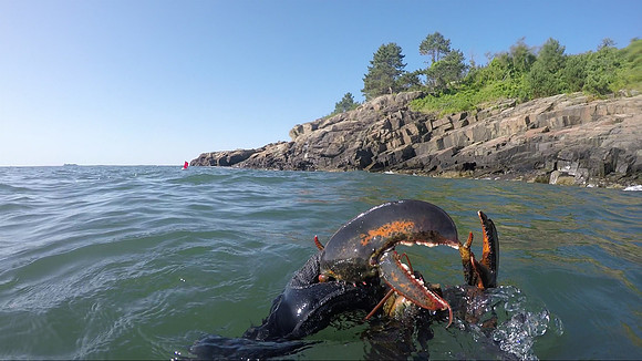 Lobstering, Massachusetts