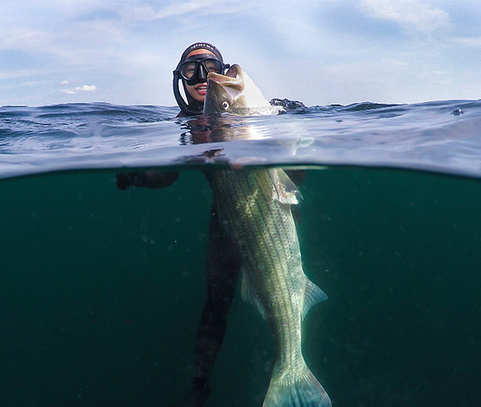 Striped Bass. Block Island, RI