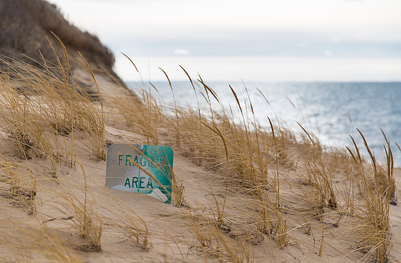 Great Island, Cape Cod, Massachusetts