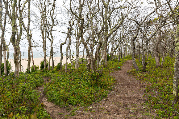 Chappaquiddick Island, Massachusetts