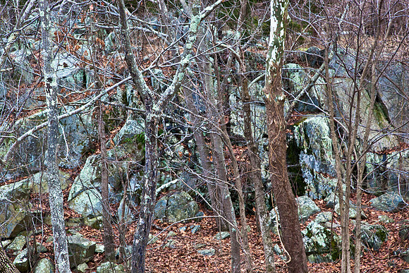 Great Falls, VA