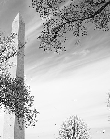 Washington Monument. Washington, DC