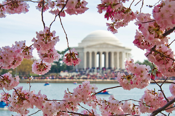 Jefferson Memorial. Washington, DC